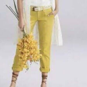 Cabi The Dreamer Jeans – Sulfur Wash – Women’s Size 8 (Style #5869)